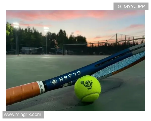 科学网球：提升个人技能的全面训练策略与方法探讨